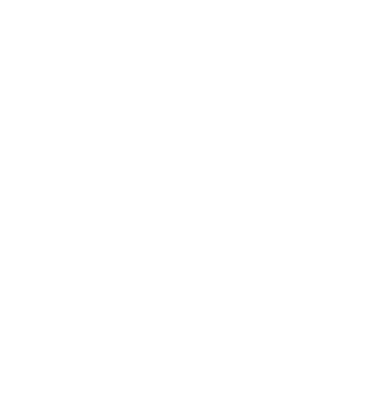 Secage Logo